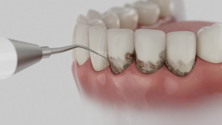 Reliable Dental contractor in Laplace, LA by Dentist Open Now